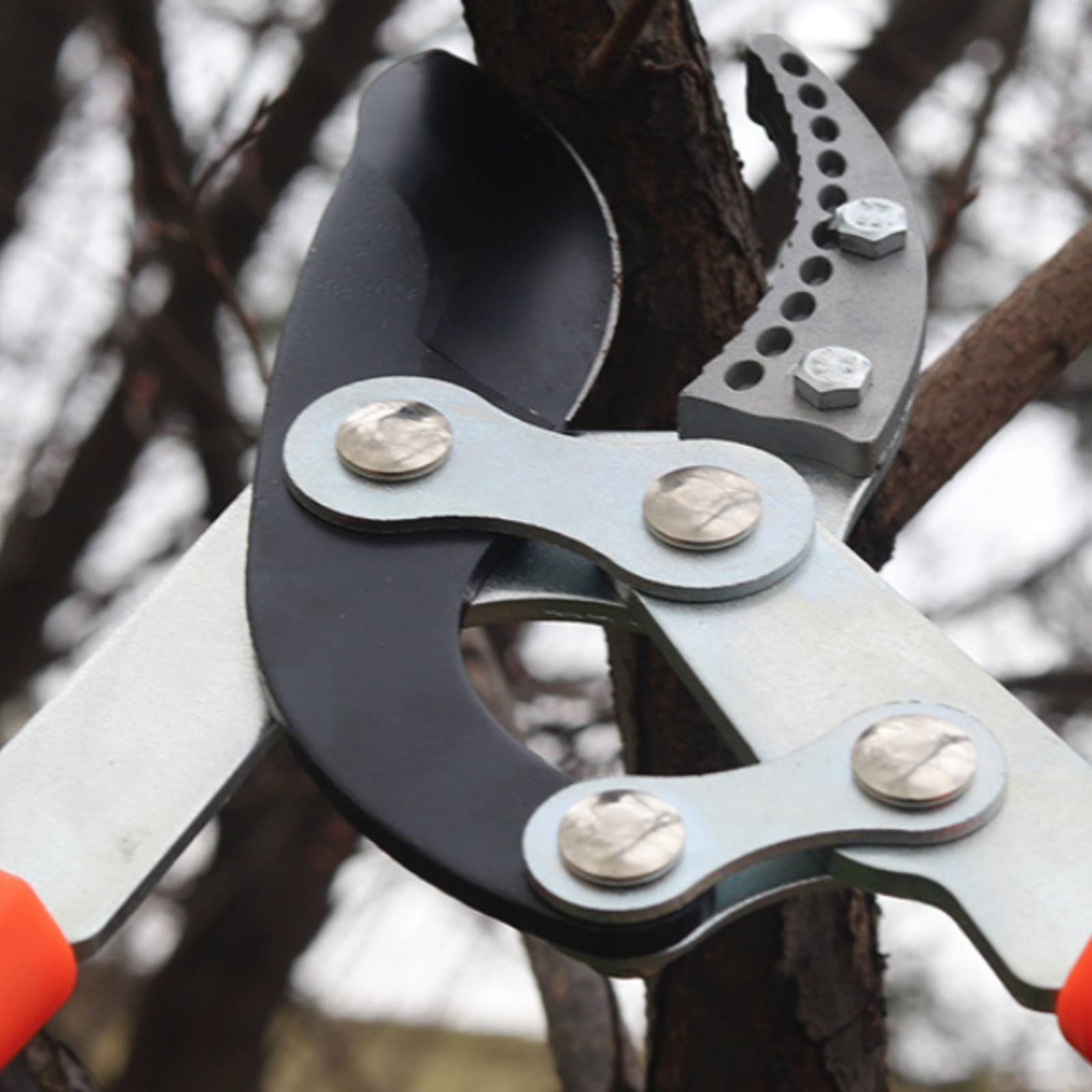Gardening Tools In - Forbici Telescopiche per Potatura con Lama