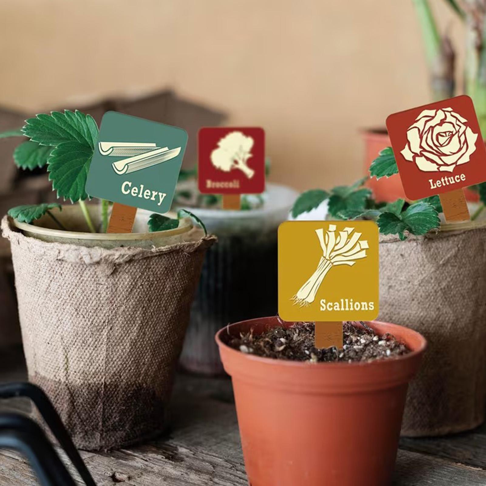 Etichette per Piante da Giardi - Garden Row Marker recensione e prezzo