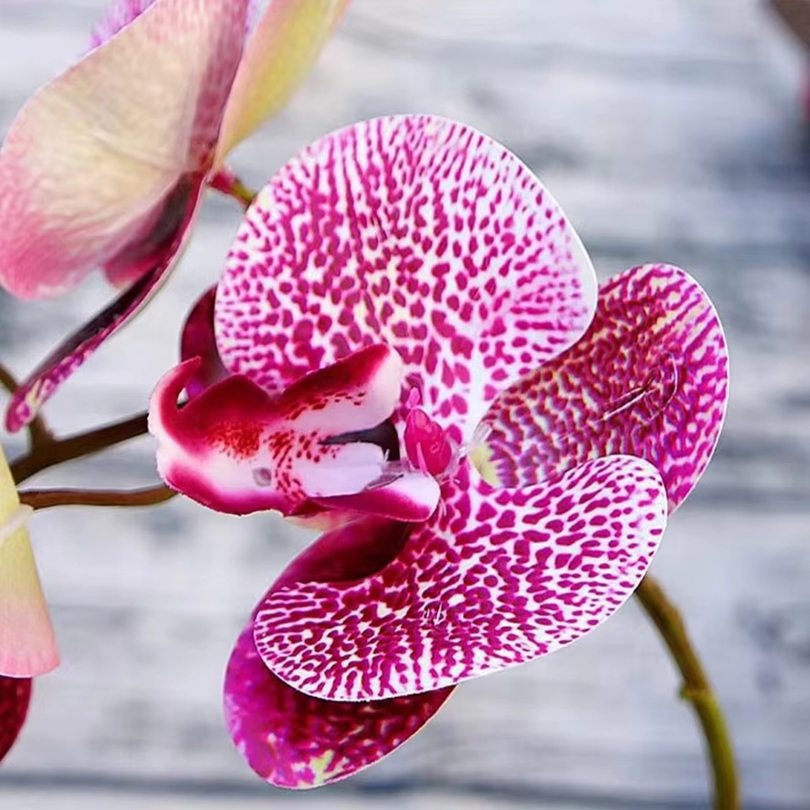 Fiori artificiali 3D Farfalla  - Gardening Tools Box recensione e prezzo