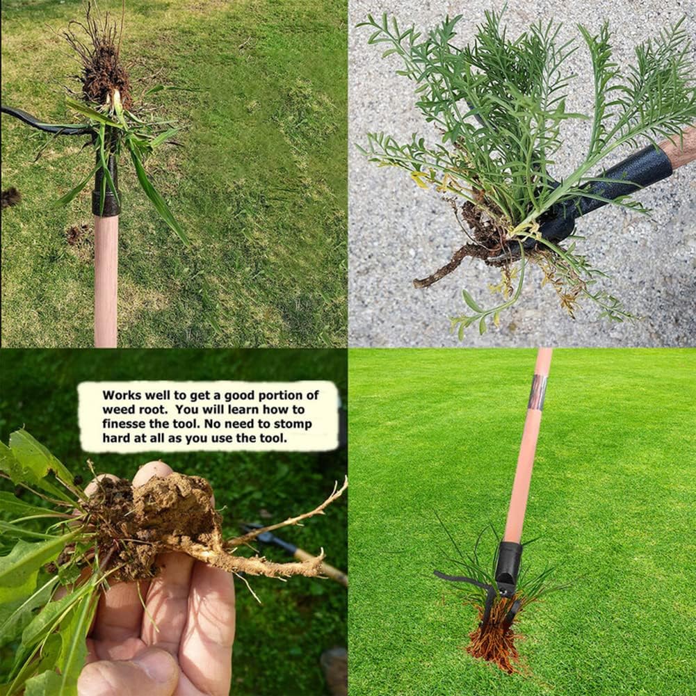 Stand Up Weed Puller Tool Desi - Weed Puller recensione e prezzo