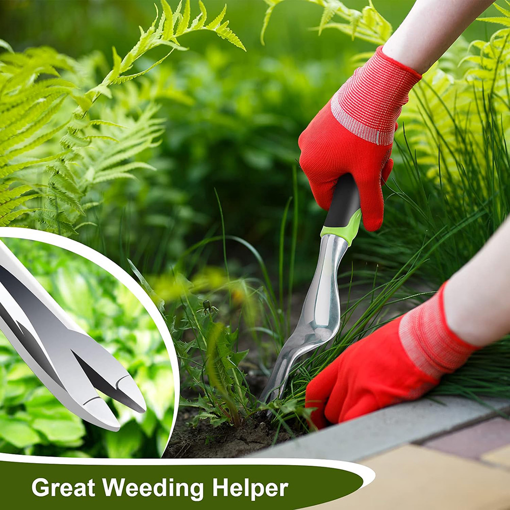 Capanno da Esterno 10x10 FT, M - Gardening Tools In recensione e prezzo