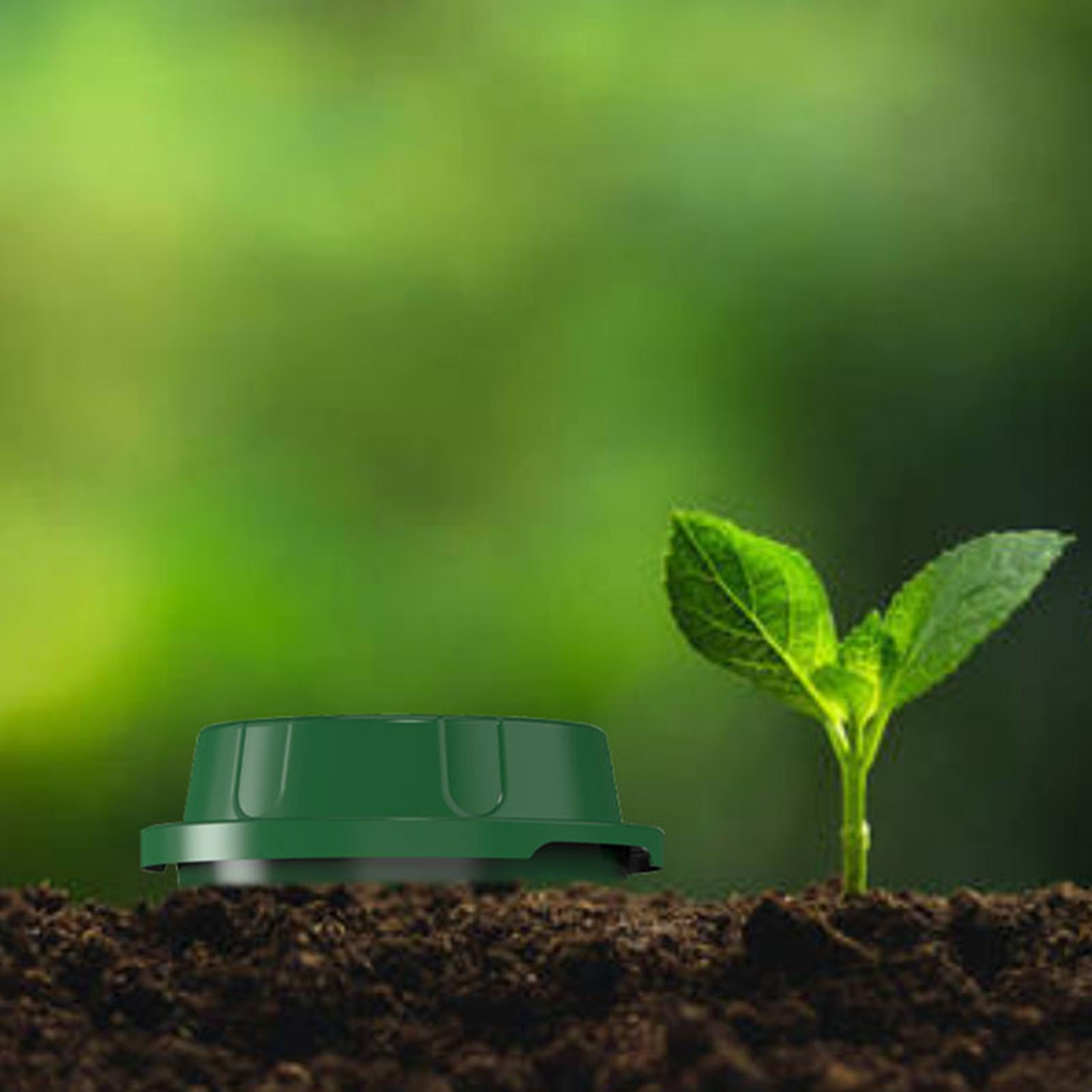 Composter per vermi interrato  - Compost Bin recensione e prezzo