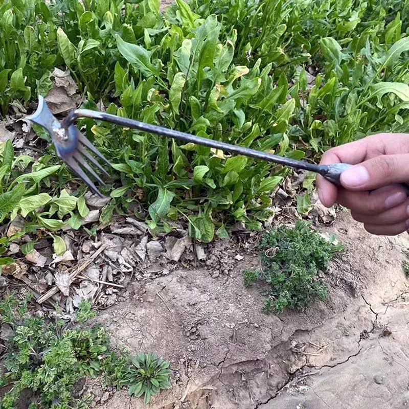 Diserbatore Manuale da Giardin - Weed Puller recensione e prezzo