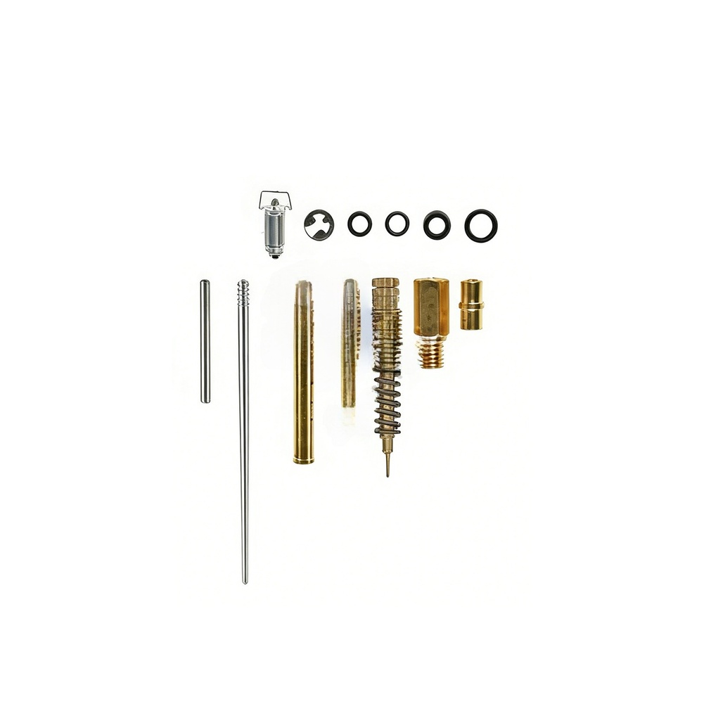 Kit di Ricostruzione Carburato - Gardening Tools Shop recensione e prezzo