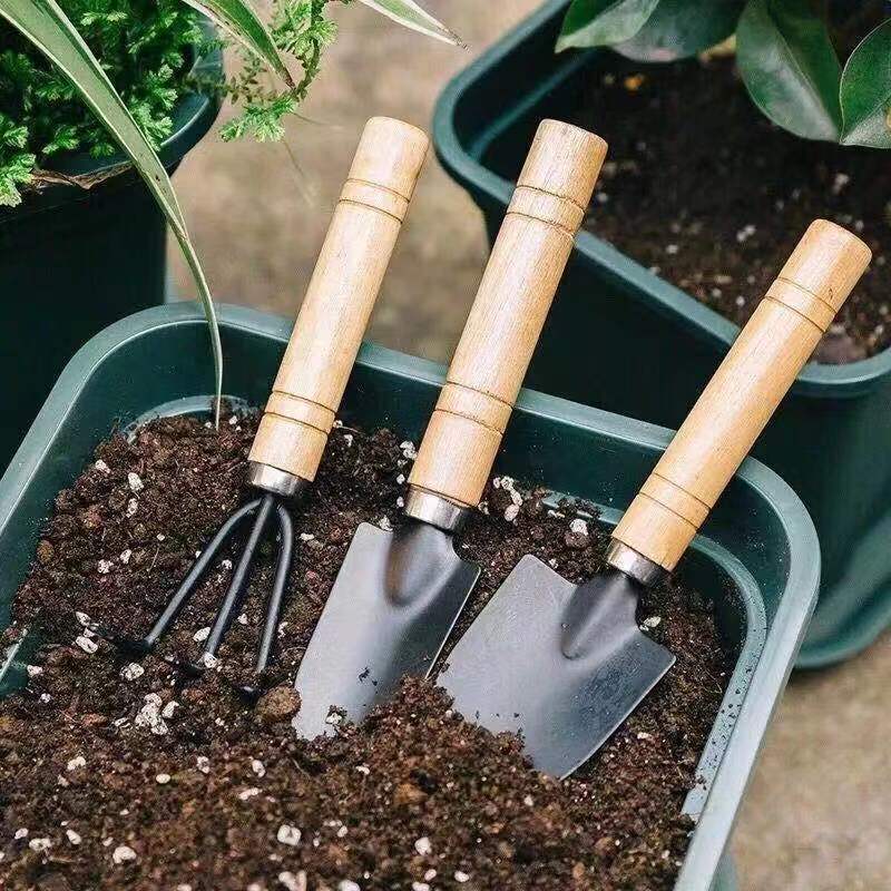 3PC/1Set Mini Attrezzi da giar - Gardening Tools Shop recensione e prezzo