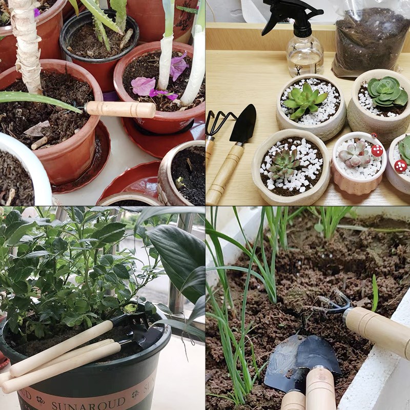 3PC/1Set Mini Attrezzi da giar - Gardening Tools Shop recensione e prezzo