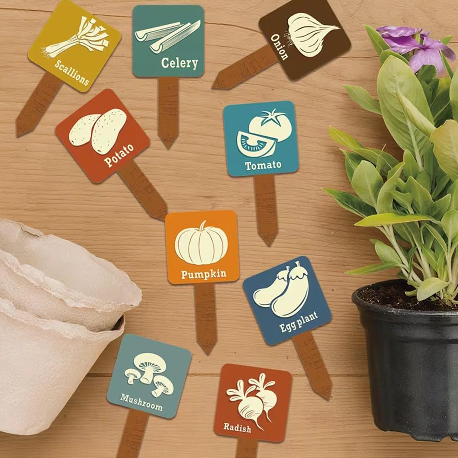 Etichette per orto a forma di  - Garden Row Marker recensione e prezzo