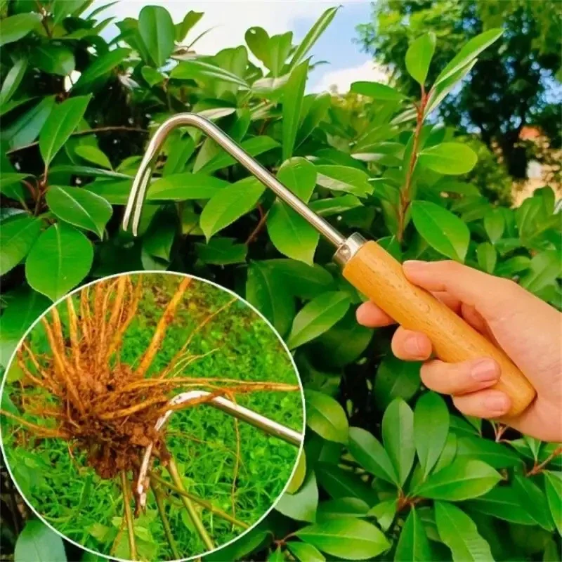 Diserbatore da giardinaggio in - Weed Puller recensione e prezzo