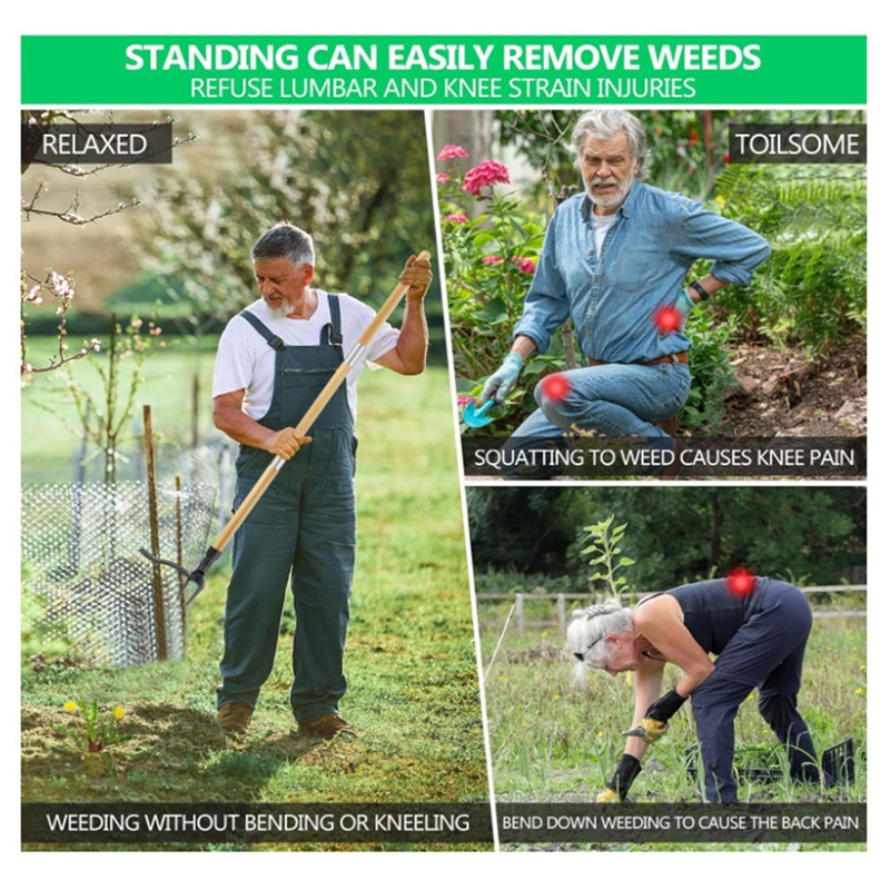 Strumento per estrattore di er - Weed Puller recensione e prezzo