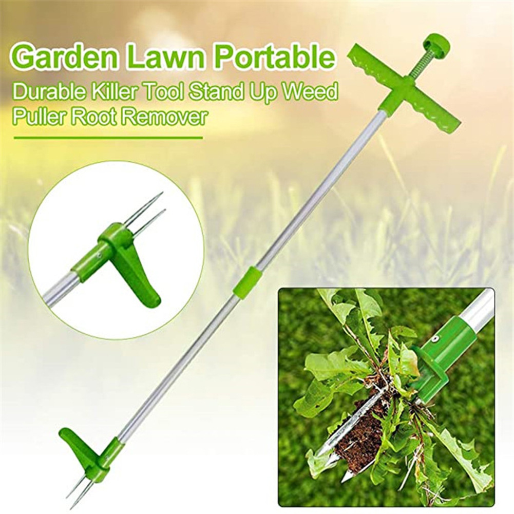 Estirpatore di erbacce, tubo i - Weed Puller recensione e prezzo