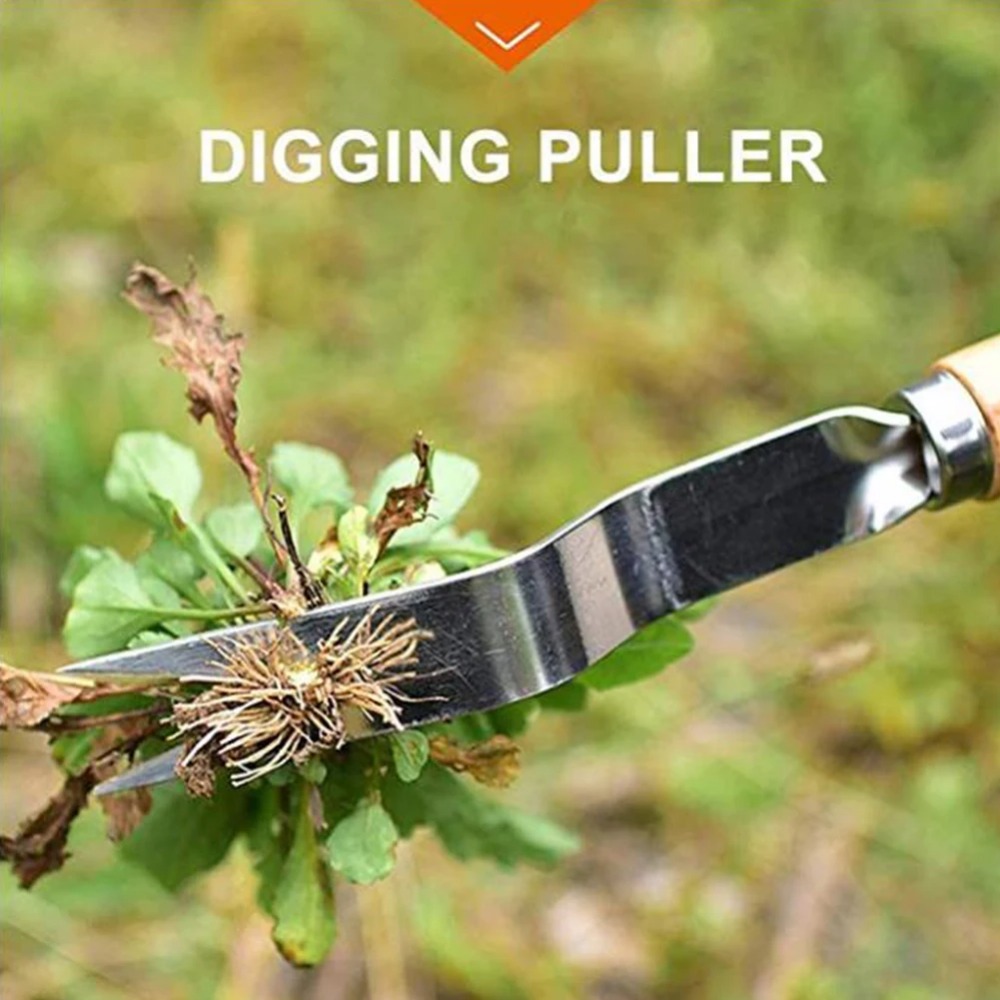 1 pz manico in legno in acciai - Weed Puller recensione e prezzo