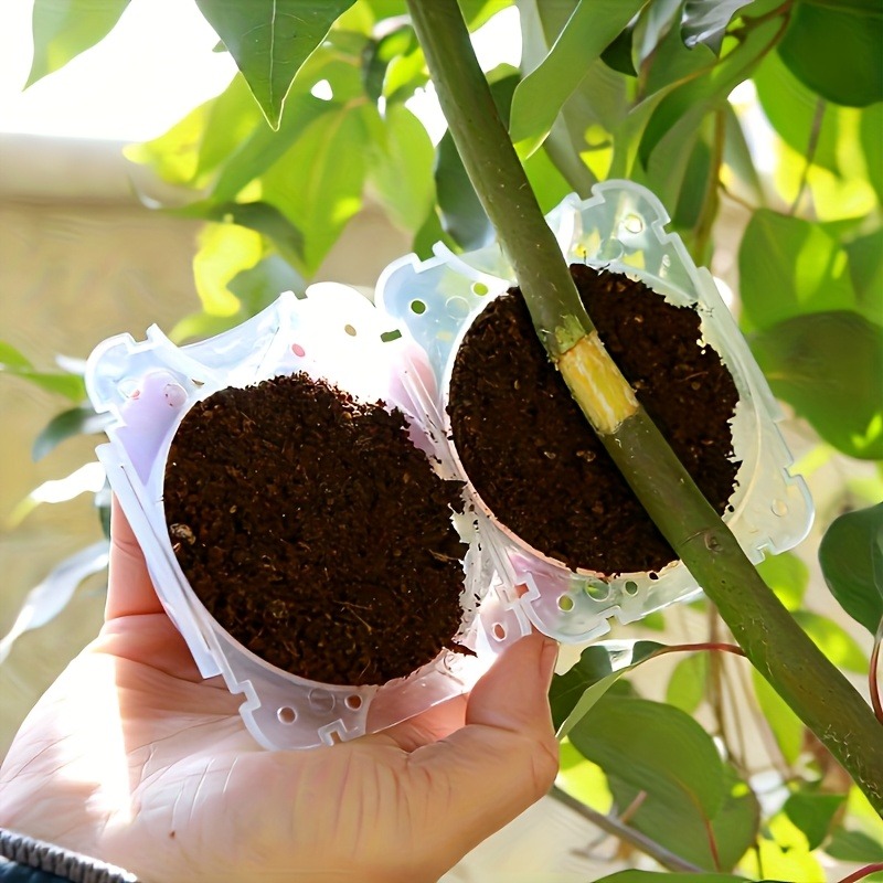 Kit da 10 Pezzi per Propagazio - Gardening Tools Box recensione e prezzo